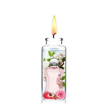 Отдушка для свечей Parfums de Marly - Delina 1205421-09 фото