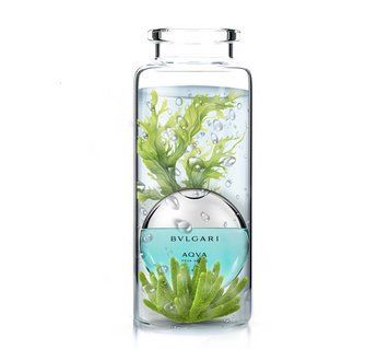 Отдушка для парфюмерии Bvlgari - Aqva Pour Homme Marine 1006044 фото
