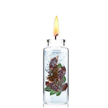 Отдушка для свечей Сacao (Какао) 1205545-02 фото