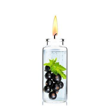 Отдушка для свечей Black Currant (Черная смородина) 1205559 фото
