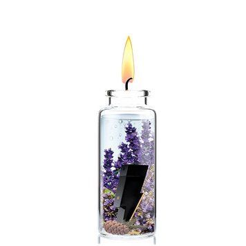 Отдушка для свечей Carolina Herrera - Bad Boy 1220169-01 фото