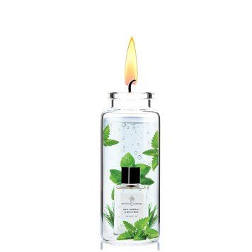 Отдушка для свечей Essential Parfums - Bois Imp&eacute;rial 1220972-06 фото