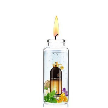 Отдушка для свечей Montale - Spicy Aoud 1220548-01 фото