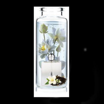 Віддушка для парфумерії Trussardi - Trussardi Donna Eau de Toilette 1020125-01 фото