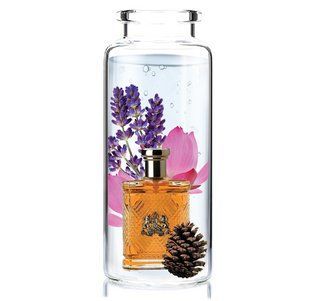 Отдушка для парфюмерии Ralph Lauren - Safari for Men 1023258 фото